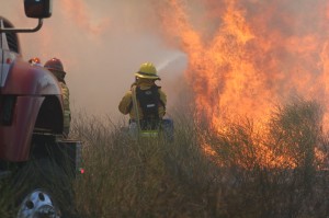 Wildland Firefighting Training - June 2013