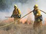 Wildland Fire School 2008