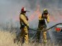 Wildland Training Exercise - June 29, 2012